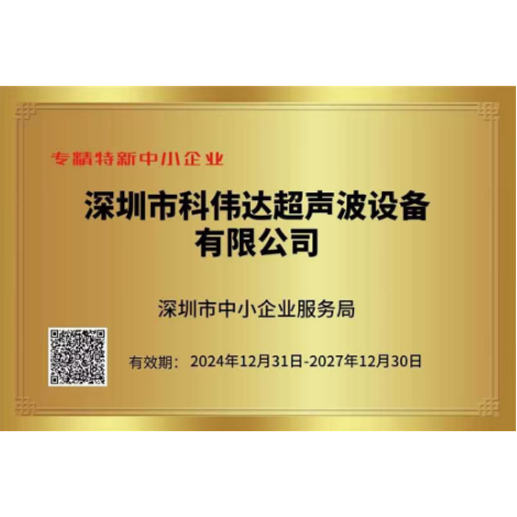 深圳市专精特新